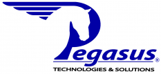 Pegasus Technologies & Solutions, Inc.